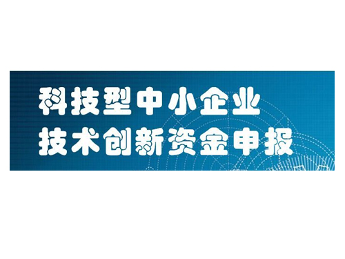 漳州市科技型中小企业技术创新资金
